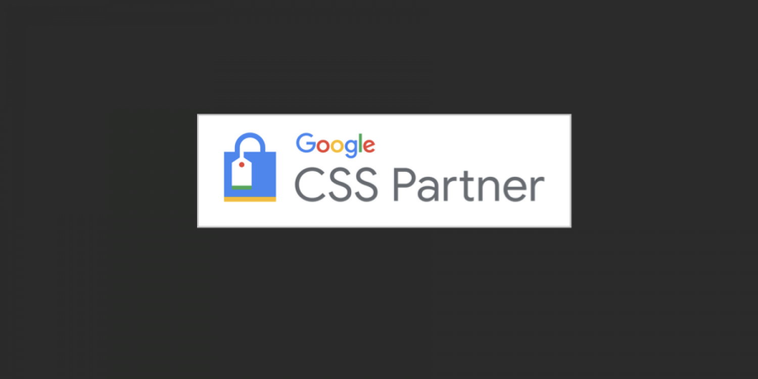 Google-CSS-Program